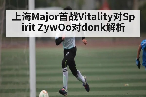 上海Major首战Vitality对Spirit ZywOo对donk解析